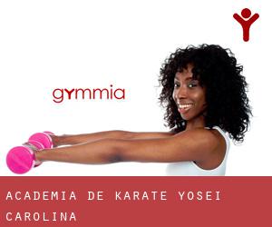 Academia de Karate Yosei (Carolina)