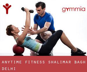 Anytime Fitness Shalimar Bagh, Delhi