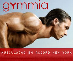 Musculação em Accord (New York)