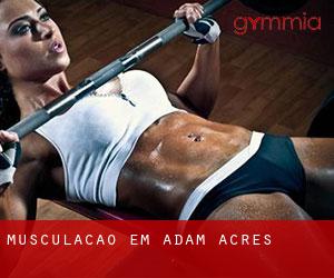 Musculação em Adam Acres