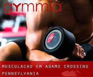 Musculação em Adams Crossing (Pennsylvania)