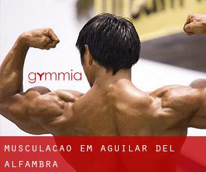 Musculação em Aguilar del Alfambra
