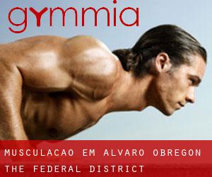 Musculação em Alvaro Obregón (The Federal District)