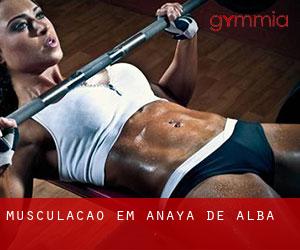 Musculação em Anaya de Alba