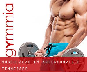 Musculação em Andersonville (Tennessee)