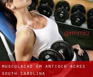 Musculação em Antioch Acres (South Carolina)