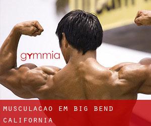 Musculação em Big Bend (California)