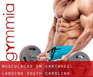 Musculação em Cartwheel Landing (South Carolina)