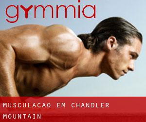 Musculação em Chandler Mountain
