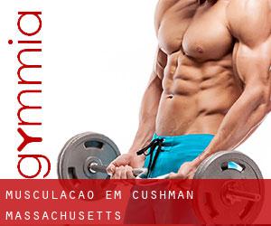Musculação em Cushman (Massachusetts)