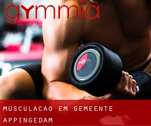 Musculação em Gemeente Appingedam Musculação em Gemeente Appingedam