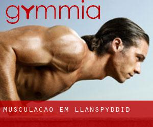 Musculação em Llanspyddid