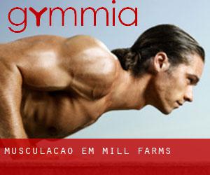 Musculação em Mill Farms
