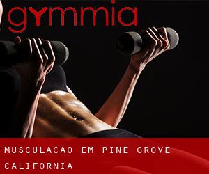 Musculação em Pine Grove (California)