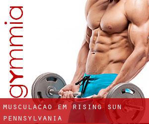 Musculação em Rising Sun (Pennsylvania)