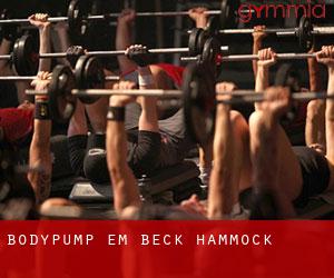 BodyPump em Beck Hammock