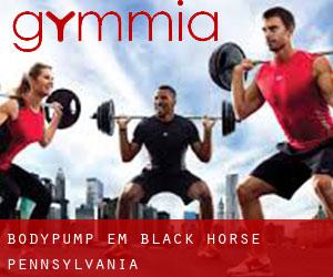 BodyPump em Black Horse (Pennsylvania)