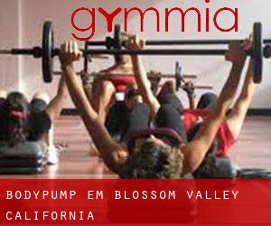 BodyPump em Blossom Valley (California)