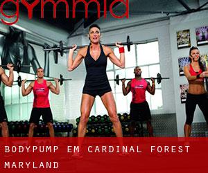 BodyPump em Cardinal Forest (Maryland)