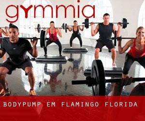 BodyPump em Flamingo (Florida)