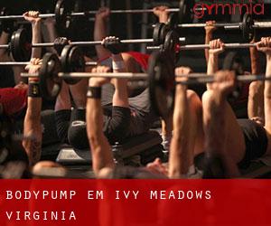 BodyPump em Ivy Meadows (Virginia)