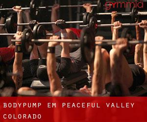 BodyPump em Peaceful Valley (Colorado)