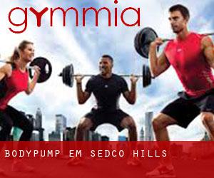 BodyPump em Sedco Hills