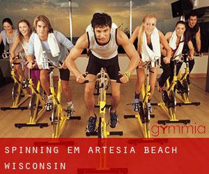 Spinning em Artesia Beach (Wisconsin)