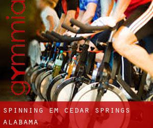 Spinning em Cedar Springs (Alabama)