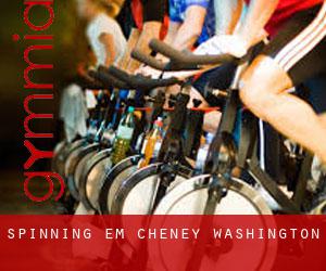 Spinning em Cheney (Washington)