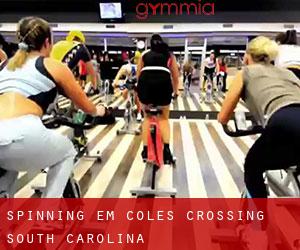Spinning em Coles Crossing (South Carolina)