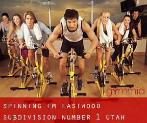 Spinning em Eastwood Subdivision Number 1 (Utah)
