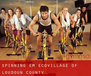 Spinning em EcoVillage of Loudoun County