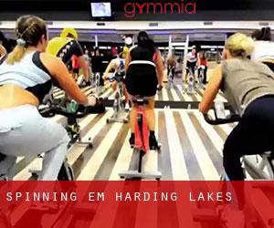 Spinning em Harding Lakes
