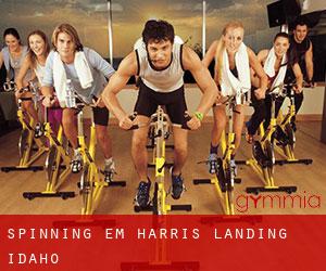 Spinning em Harris Landing (Idaho)