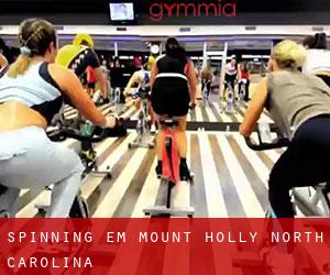 Spinning em Mount Holly (North Carolina)