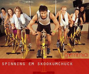 Spinning em Skookumchuck