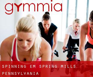 Spinning em Spring Mills (Pennsylvania)