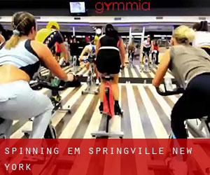 Spinning em Springville (New York)