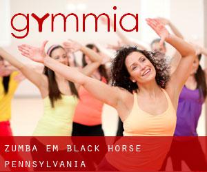 Zumba em Black Horse (Pennsylvania)