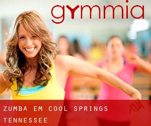 Zumba em Cool Springs (Tennessee)
