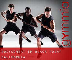 BodyCombat em Black Point (California)