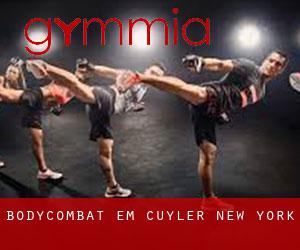 BodyCombat em Cuyler (New York)