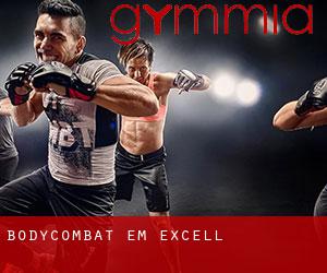 BodyCombat em Excell