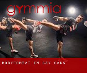 BodyCombat em Gay Oaks