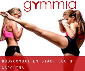 BodyCombat em Giant (South Carolina)