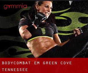 BodyCombat em Green Cove (Tennessee)