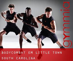 BodyCombat em Little Town (South Carolina)