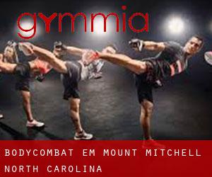 BodyCombat em Mount Mitchell (North Carolina)