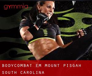 BodyCombat em Mount Pisgah (South Carolina)